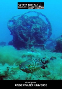 Underwater Universe
