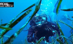 10. Still Tritonov Vrt