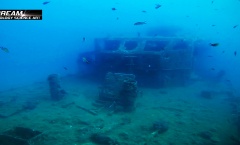 11. Still Tritonov Vrt