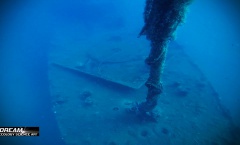 12. Still Tritonov Vrt