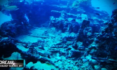 2. Still Tritonov Vrt1