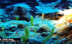 3. Still Tritonov Vrt