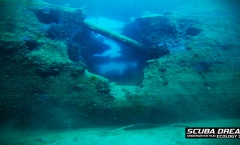 5. Still Tritonov Vrt