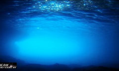 6. Still Tritonov Vrt