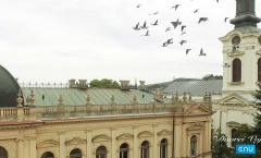 2. Sequence 01.Still005A5 Copy